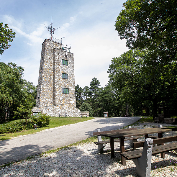 A KÖRNYÉK LEGSZEBB PANORÁMÁJA - KÁROLY-KILÁTÓ - Hotel Civitas